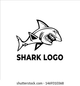 Shark fish logo design vector template