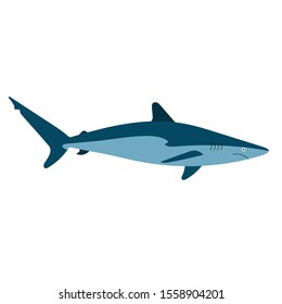 Shark fish made in a flat style. 
Vector color drawing