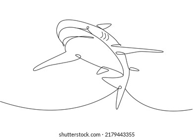 Shark Fish Predator Ocean Continuous Line Vector Art Design Decoration