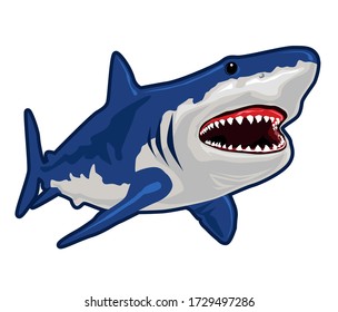 shark fish realistic cartoon in vector