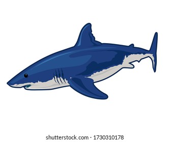 Shark fish realistic cartoon in vector