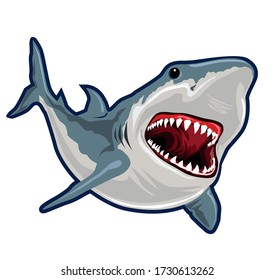 Shark fish realistic cartoon in vector