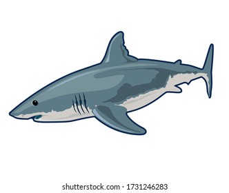 Shark Fish Realistic Cartoon Vector Stock Vector (Royalty Free) 1731246283