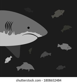 Shark and fish, sign for design, vector illustration