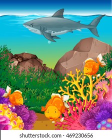 Shark and fish swimming in the sea illustration