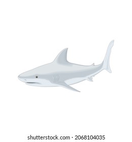 shark fish vector drawing illustration