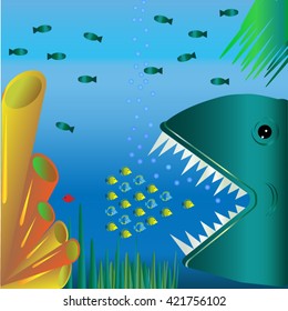 Shark and  fishes in the sea