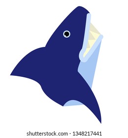 Shark flat illustration on white
