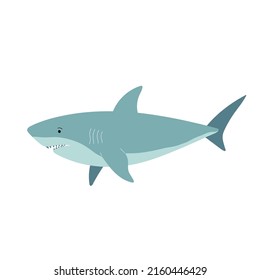 Shark in flat style isolated on white background. Cartoon sea predator vector illustration. Cartoon ocean fish character