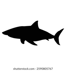 Shark forward image template picture background photo logo icon wallpaper