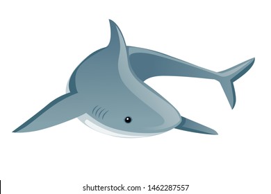 Shark giant apex predator cartoon animal design flat vector illustration isolated on white background