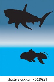 shark and goldfish