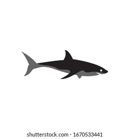 Shark graphic design template vector isolated