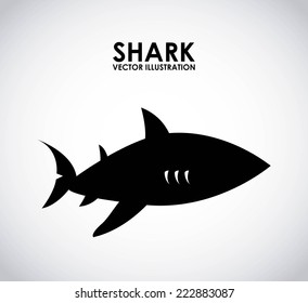 shark graphic design , vector illustration