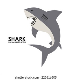 shark graphic design , vector illustration