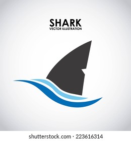 shark graphic design , vector illustration
