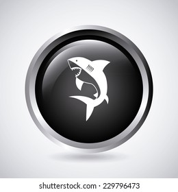 shark graphic design , vector illustration