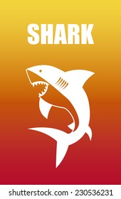 shark graphic design , vector illustration