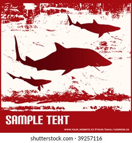 Shark Grunge