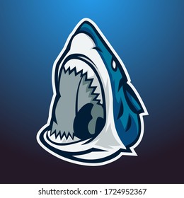 shark haed logo symbol vecter 