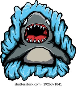 shark hand draw vector illustration