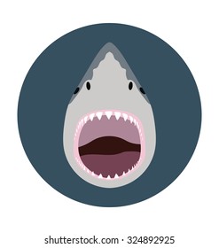 
Shark Head
