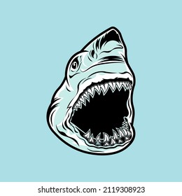 shark head illustration with classic or vintage style