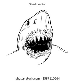 Shark head with sharp teeth image illustration line art vector in black and white for shirt design, poster, logo. Eps 10 