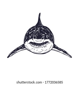 Shark head with teeth for t-shirt design. Vector illustration.