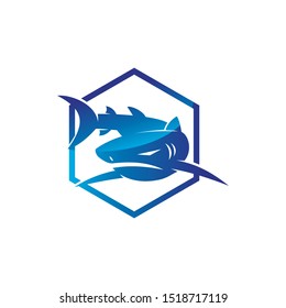 Shark hexagon logo design vector isolated illustration template