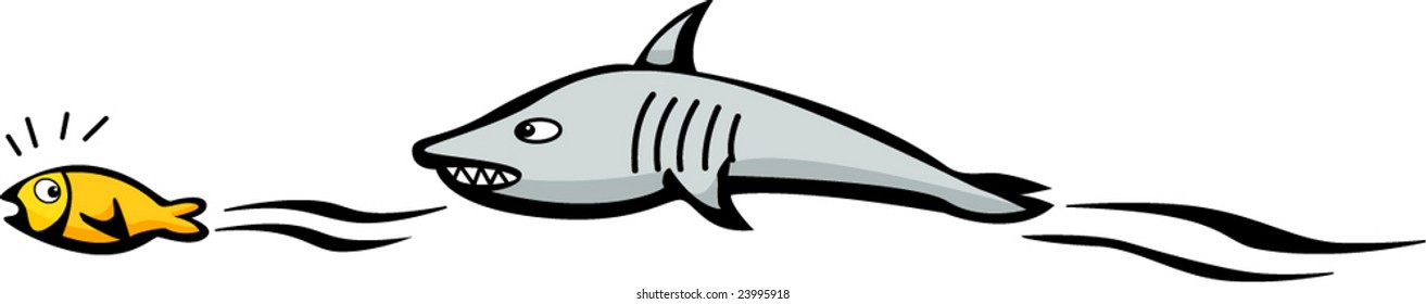 shark hunting fish