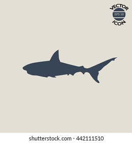 shark icon