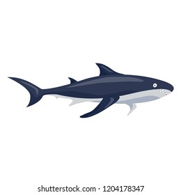 Shark icon. Cartoon of shark vector icon for web design isolated on white background