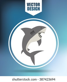 shark icon design 