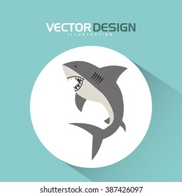 shark icon design 