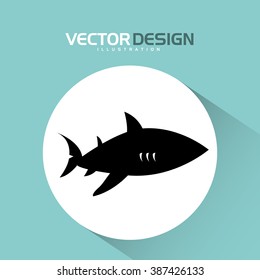 shark icon design 