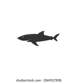 Shark icon design template vector isolated illustration