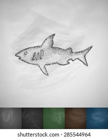shark icon. Hand drawn vector illustration. Chalkboard Design