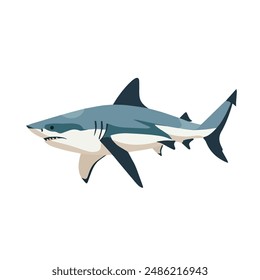 Shark icon isolated on white background.