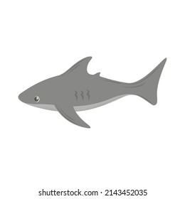 shark icon isolated white background