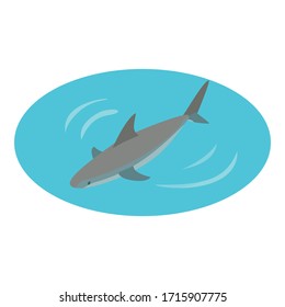 Shark icon. Isometric illustration of shark vector icon for web