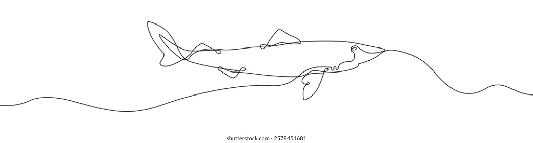 Shark icon line continuous drawing vector. One line Shark icon vector background. Shark icon. Continuous outline of a Shark icon