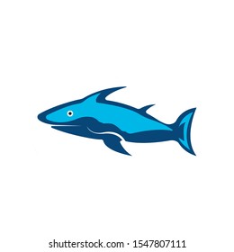 Shark icon logo design vector illustration
