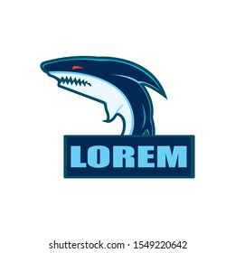 Shark icon logo design vector illustration

