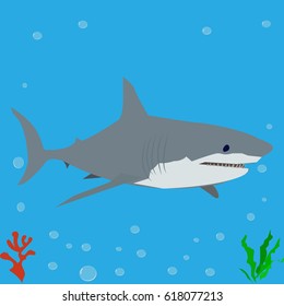 Shark, icon, logo, symbol. Sea animal 