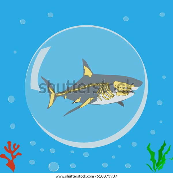 Download Shark Icon Logo Symbol Skeleton Anatomy Stock Vector ...