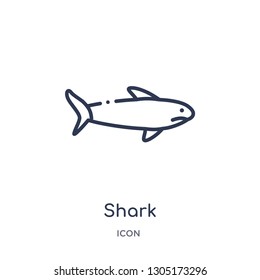 shark icon from nautical outline collection. Thin line shark icon isolated on white background.