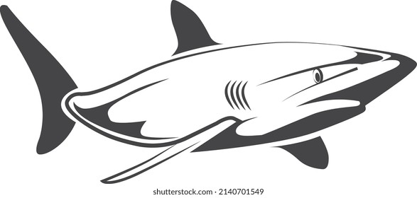 Shark icon. Sea predator logo. Underwater animal