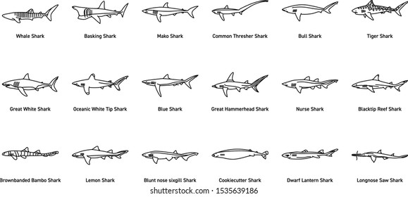 Shark Icon Set Vector Illustration