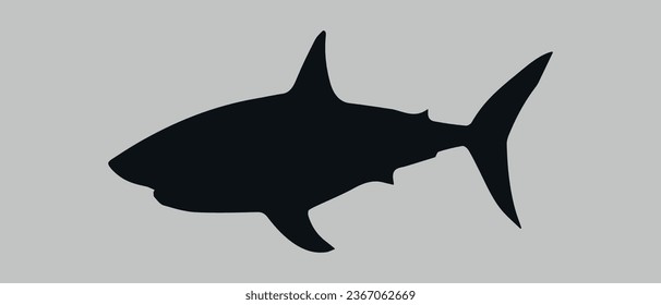 Shark icon. Silhouette. Vector on white background	